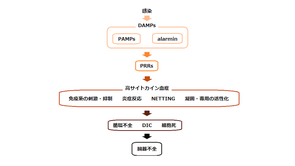 敗血症　感染症と臓器障害への対応 敗血症ー感染症と臓器障害への対応 | 松田直之 | 絵本ナビ